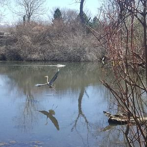 Meet your Posher, Constance